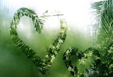 九游官网入口版本山东泰山集结日止住颓势，志在NBA常规赛名次提升，更衣室稳定，年轻球员得到机会的简单介绍