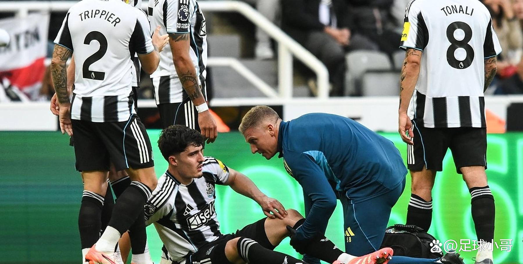 今晚纽卡斯尔备战NBA总决赛,伤情更新细节曝光,震撼外界,纪律约束更严格的简单介绍 今晚纽卡斯尔备战NBA总决赛,伤情更新细节曝光,震撼外界,纪律约束更严格的简单介绍